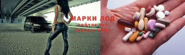 шишки Богородицк