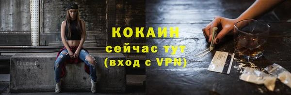 шишки Богородицк
