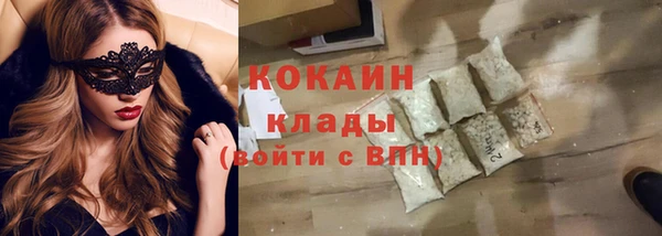 шишки Богородицк