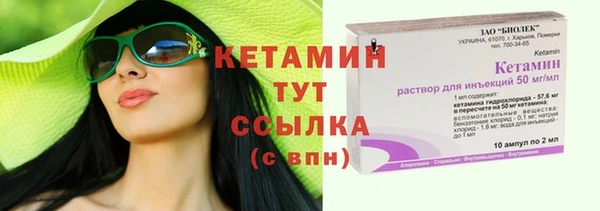 прущие грибы Бородино