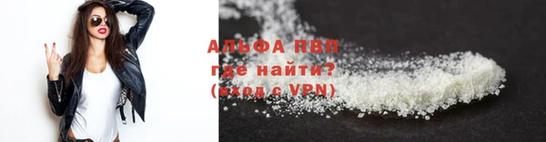 прущие грибы Бородино