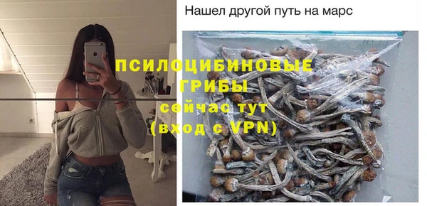 шишки Богородицк