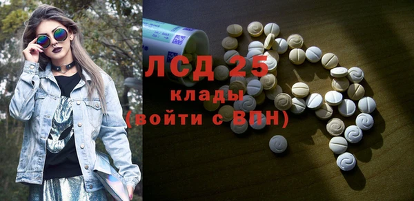 прущие грибы Бородино
