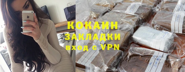 шишки Богородицк