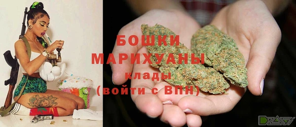 шишки Богородицк
