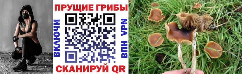 MEGA ССЫЛКА  Улан-Удэ  Псилоцибиновые грибы Magic Shrooms 